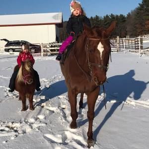 Meet your Posher, Michelle